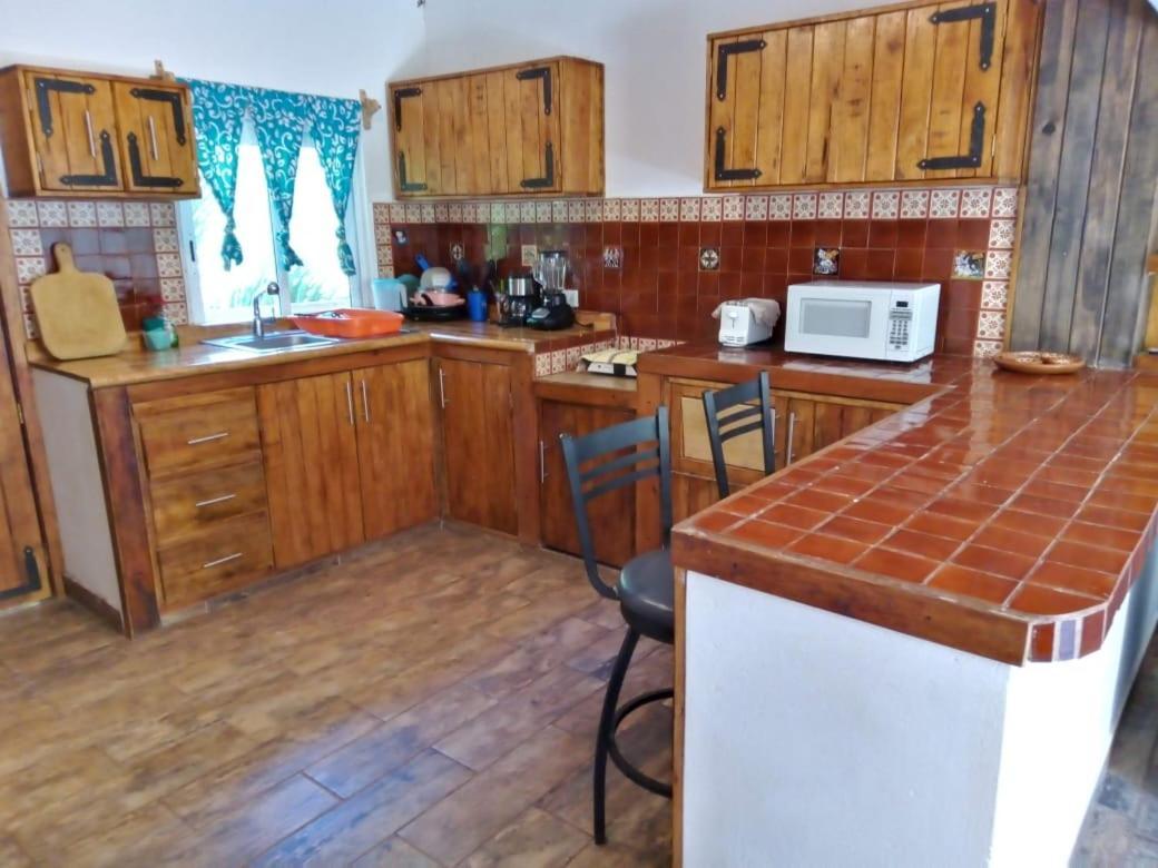 Casa Rio Cuale And River Retreat بويرتو فالارتا المظهر الخارجي الصورة