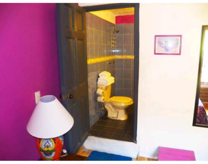 Casa Rio Cuale And River Retreat بويرتو فالارتا المظهر الخارجي الصورة