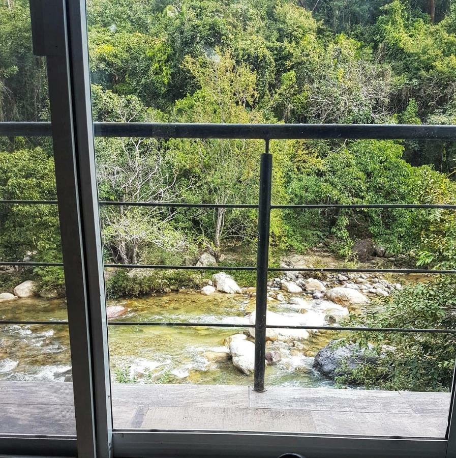Casa Rio Cuale And River Retreat بويرتو فالارتا المظهر الخارجي الصورة