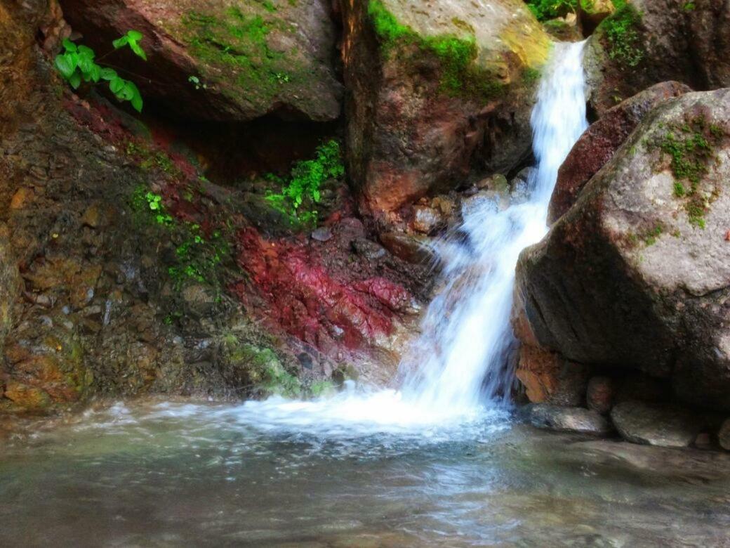 Casa Rio Cuale And River Retreat بويرتو فالارتا المظهر الخارجي الصورة